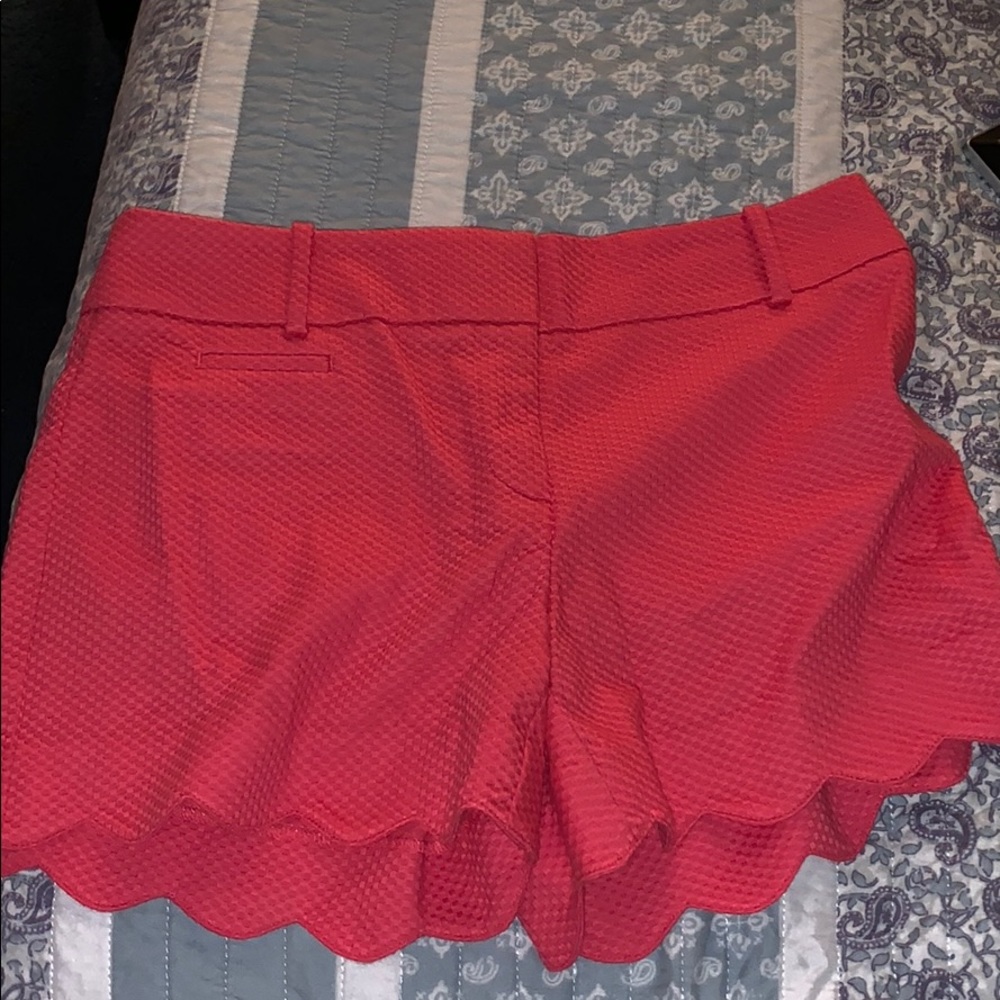 NWT LOFT shorts - Picture 1 of 4